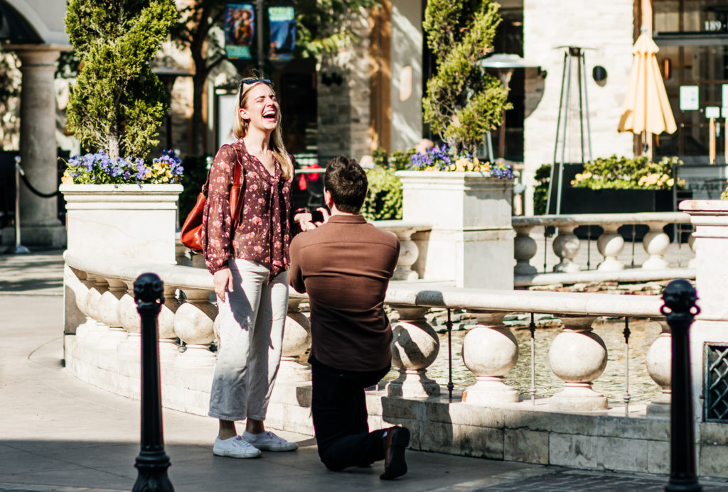 los angeles proposal at the grove