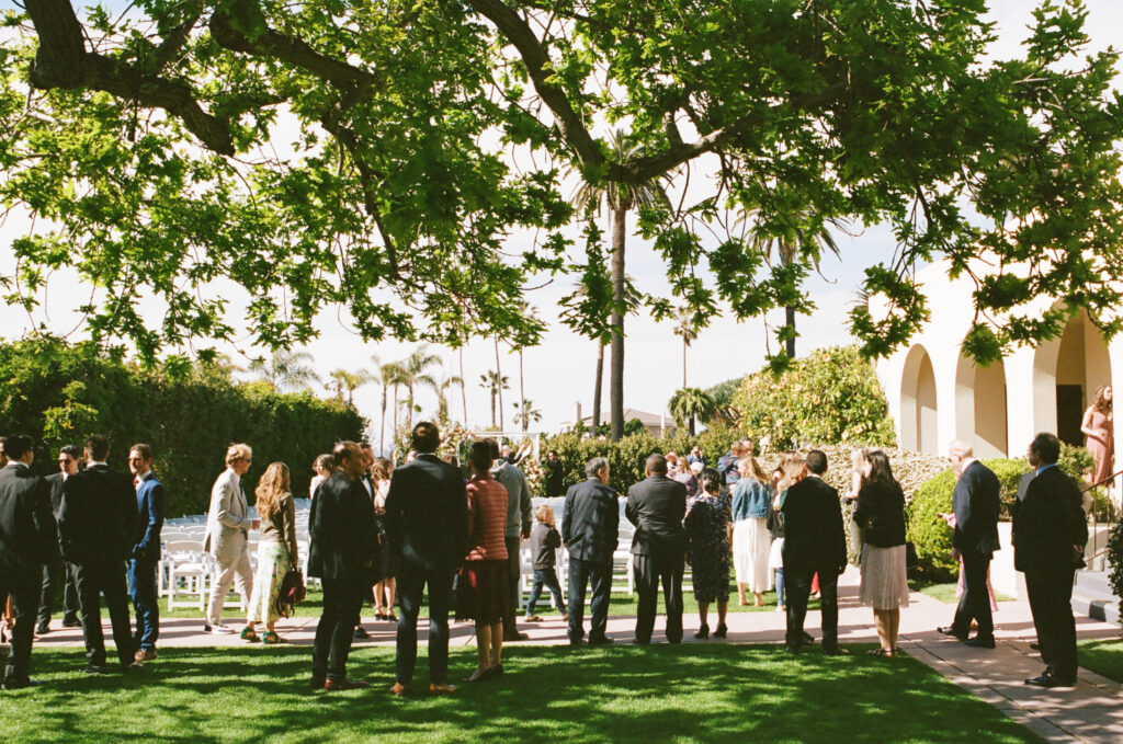 wedding guests hang out before ceremony under a tree