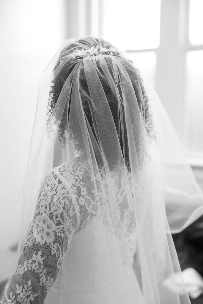 Veil and dress lace details