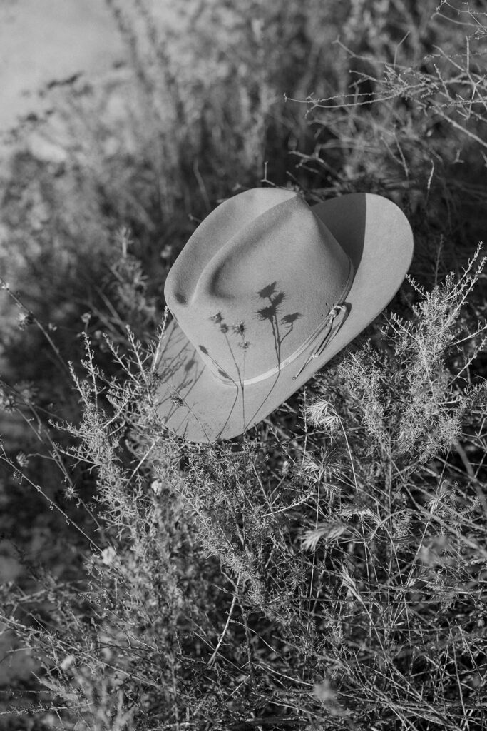 Cowboy hat in the preserve 