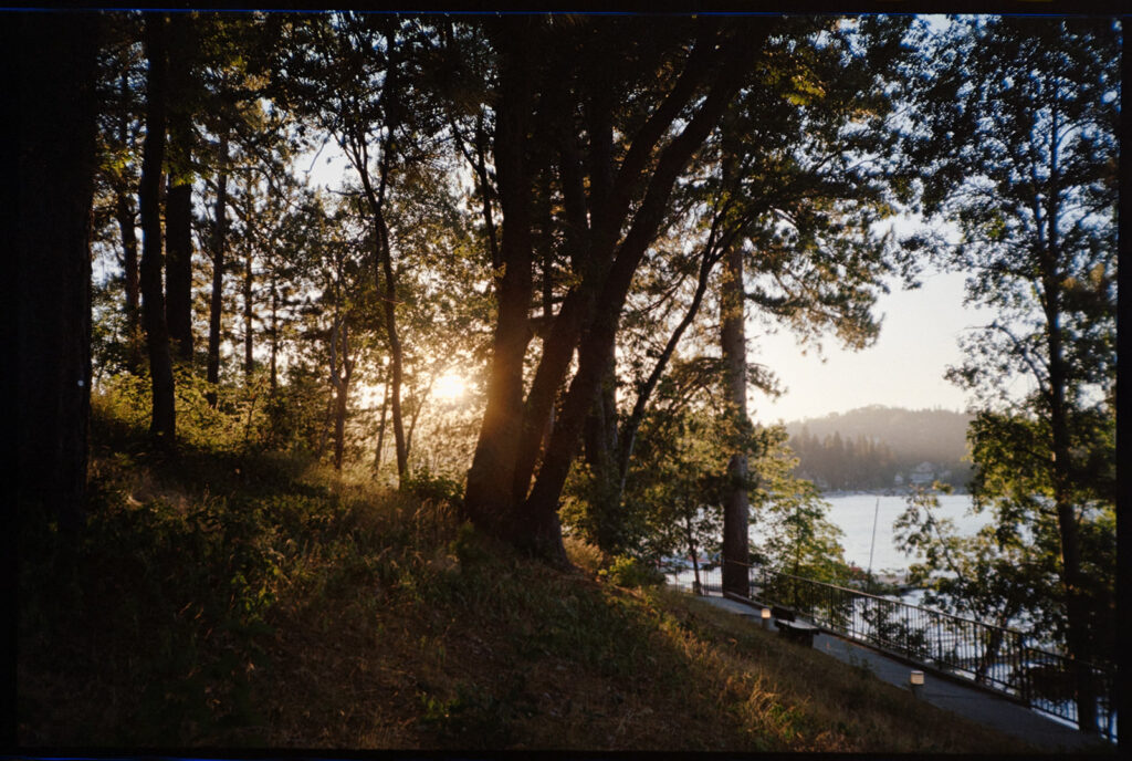 woods and lake view