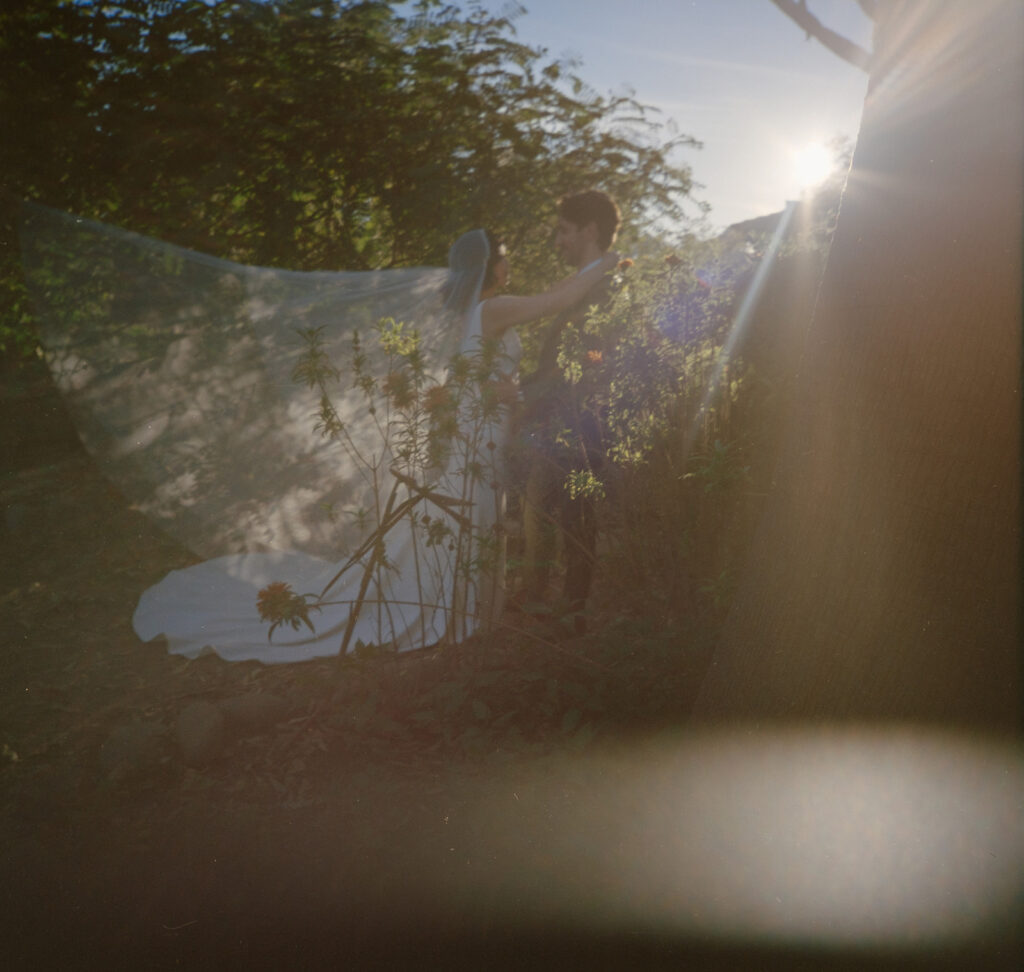 stunning veil and lighting portrait in Franciscan Gardens 