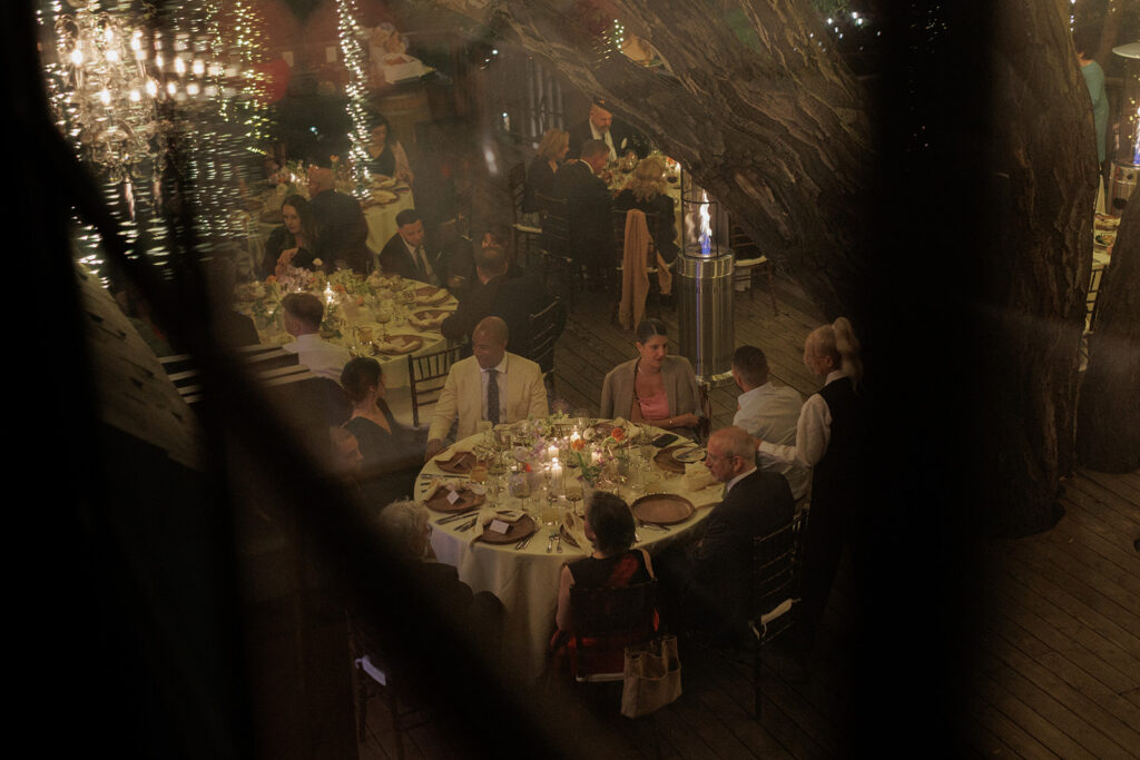 overhead nighttime view of wedding guests dining underneath the trees at Birchwood Room during reception